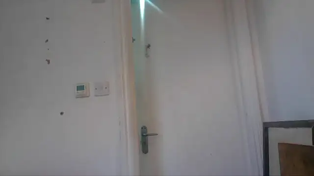 mista_sista_fista webcam