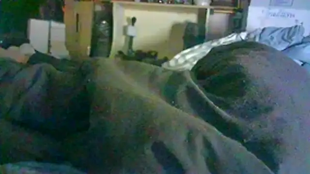 ON3YOULLN3VER_FIR3 webcam