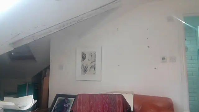 mista_sista_fista webcam