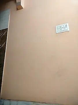 meenu_bhabhi547 webcam