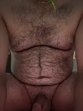 ForagingZealand webcam