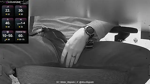 Mister_Majestic webcam