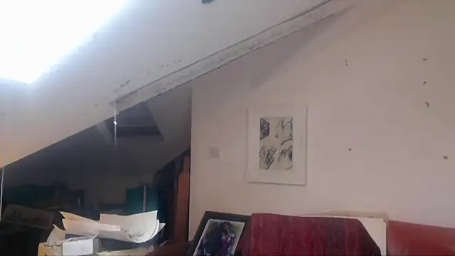 mista_sista_fista webcam