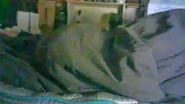 ON3YOULLN3VER_FIR3 webcam