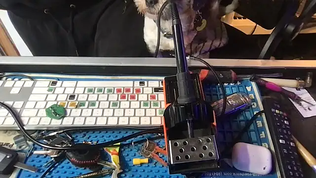 SinlessFreedom7 webcam