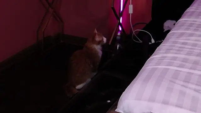 StephanyMillan webcam