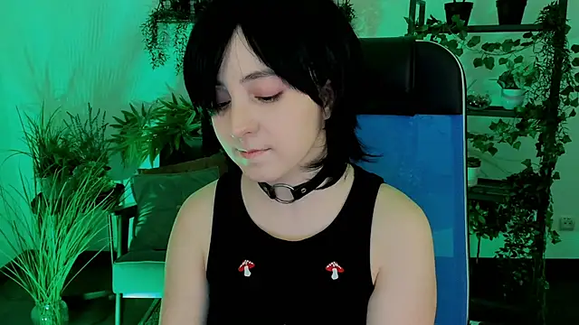 VirtuallVoyant webcam