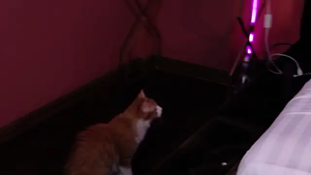 StephanyMillan webcam