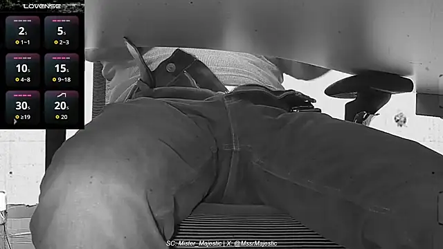 Mister_Majestic webcam