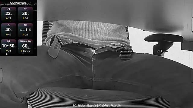 Mister_Majestic webcam