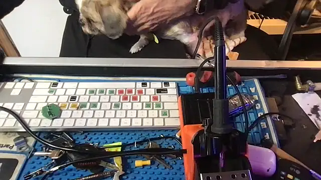 SinlessFreedom7 webcam