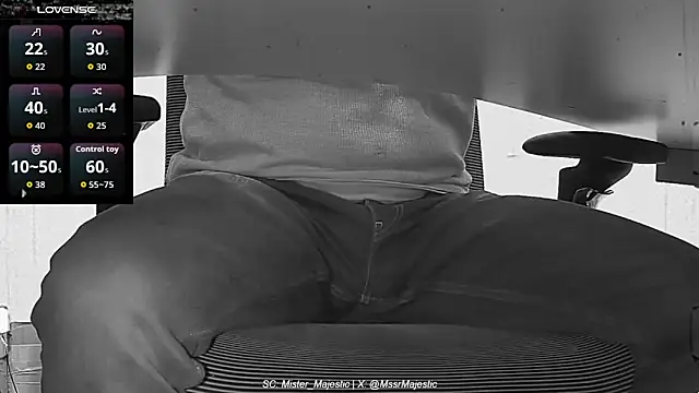 Mister_Majestic webcam