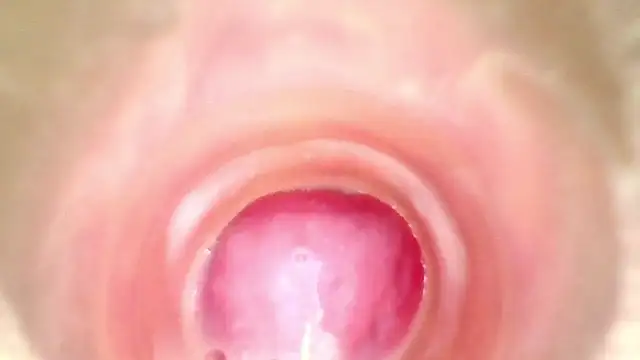 shannon_kinne_ webcam