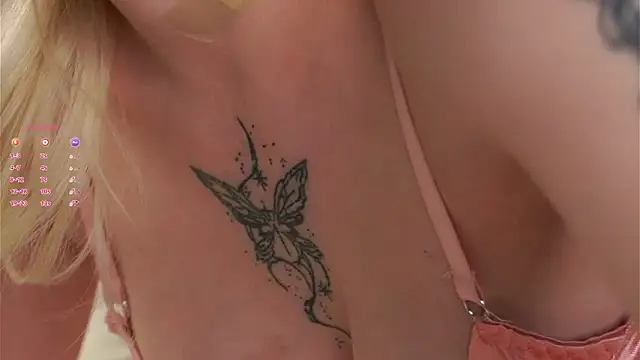 AunclreaVache webcam