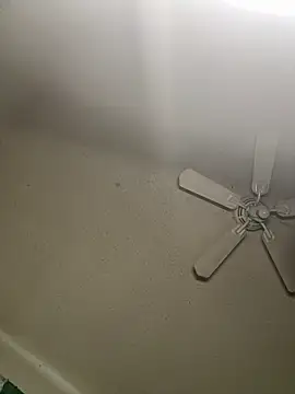 foreigntitts_ webcam