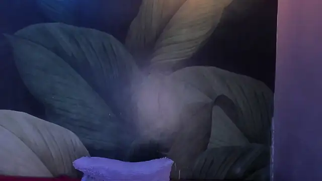 sweett_dirty - Sweett_dirty's free webcam