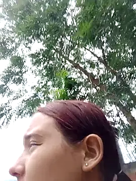 young_dairy01 webcam