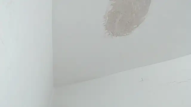 brant_garciabbc webcam