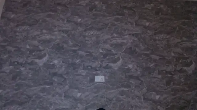 Crystal_Star_ webcam