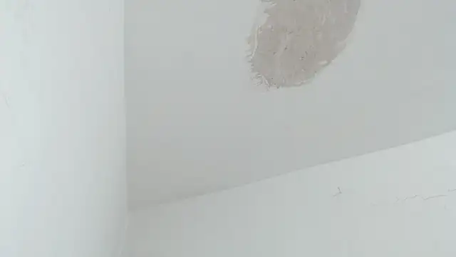 brant_garciabbc webcam