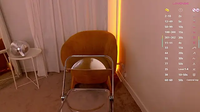 hidden_charm_ webcam