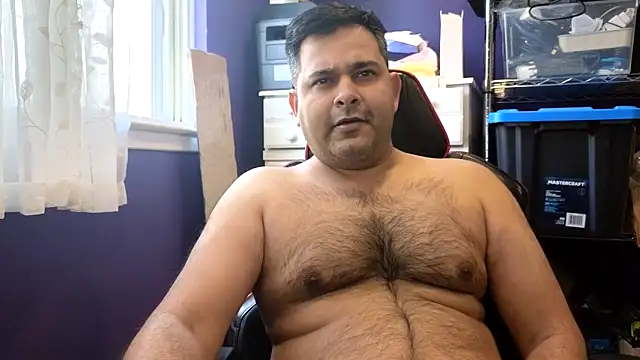 toronto-baddad webcam