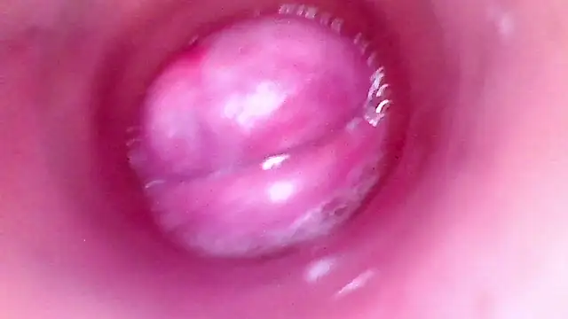 shannon_kinne_ webcam