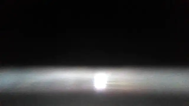 Antoniothedon webcam