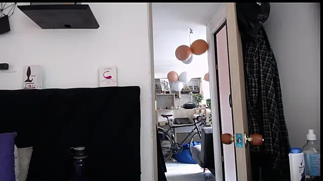 Santiago_kiler webcam