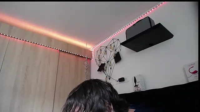 Santiago_kiler webcam