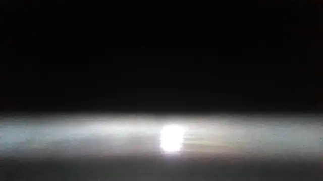 Antoniothedon webcam