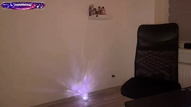 RenMeow webcam