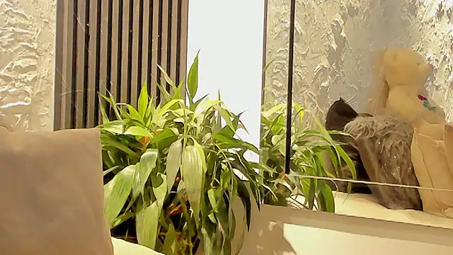 joselin_rouse webcam