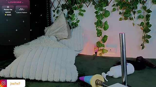 Levii_Ackermann webcam