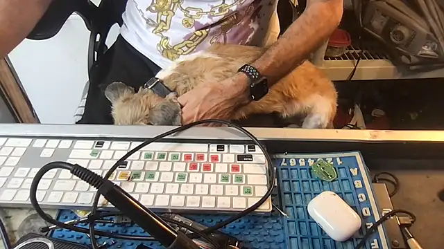 SinlessFreedom7 webcam