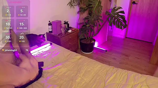 Loveskingdomm webcam