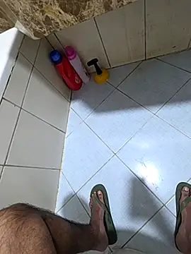 dream_catcher webcam