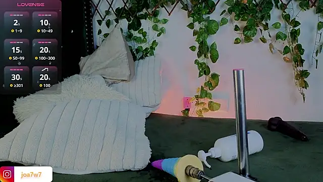 Levii_Ackermann webcam