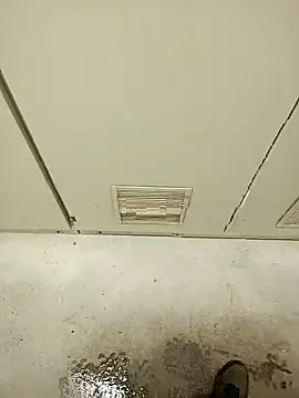 Ramzes1992Analog webcam