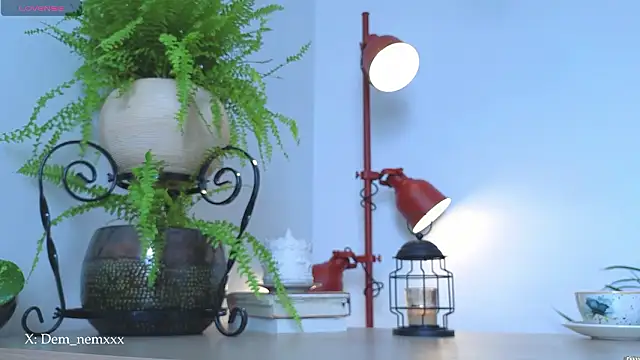 tommyfoxboy - Tommyfoxboy's free webcam - UK Sex Cams