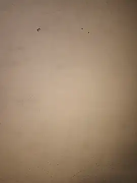 FANTASY_QUEEN_07 webcam