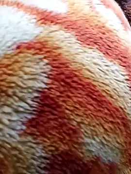 expresshorse (Ask my age) - Big Milky CUM Show