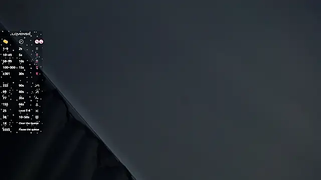 SibleyAllston webcam