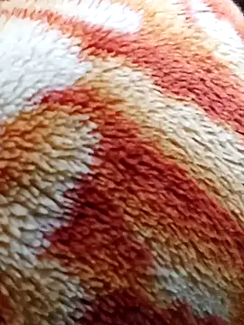 expresshorse (Ask my age) - Big Milky CUM Show