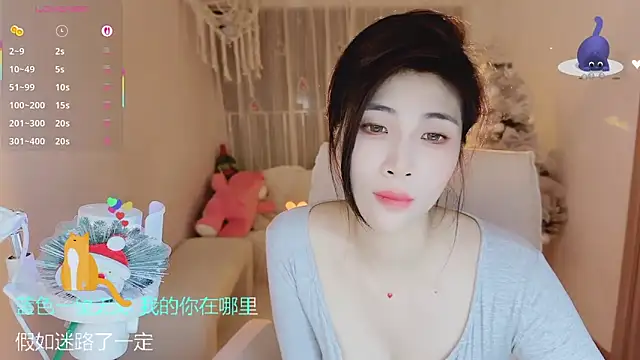 Vaidurya-Yolo webcam