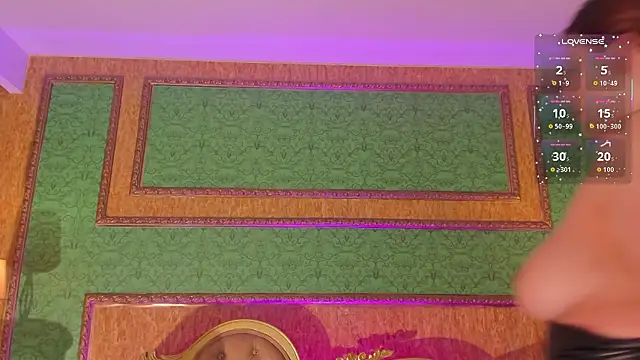 Helenstanford webcam