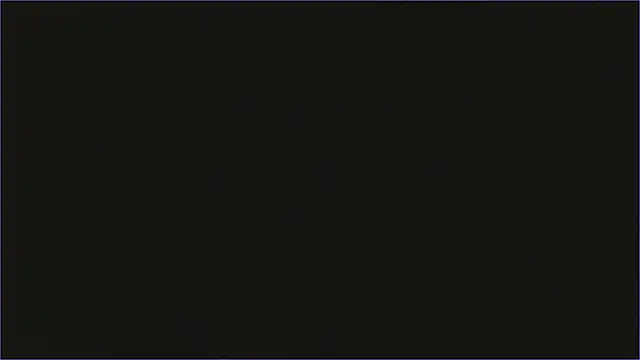 Geisha_Seniers webcam