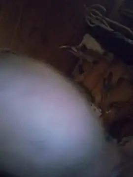 biknight (M mature) - To have sex live for you