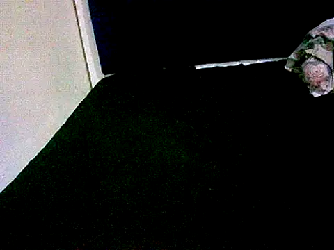 honeypotsweet webcam