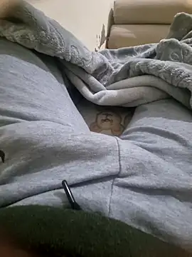 ahmeddcall - Ahmeddcall's free webcam - UK Sex Cams